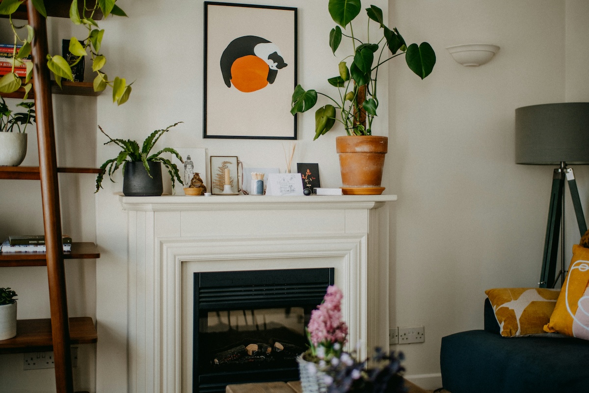 Professional Real Estate Photography Tips | Nestfully