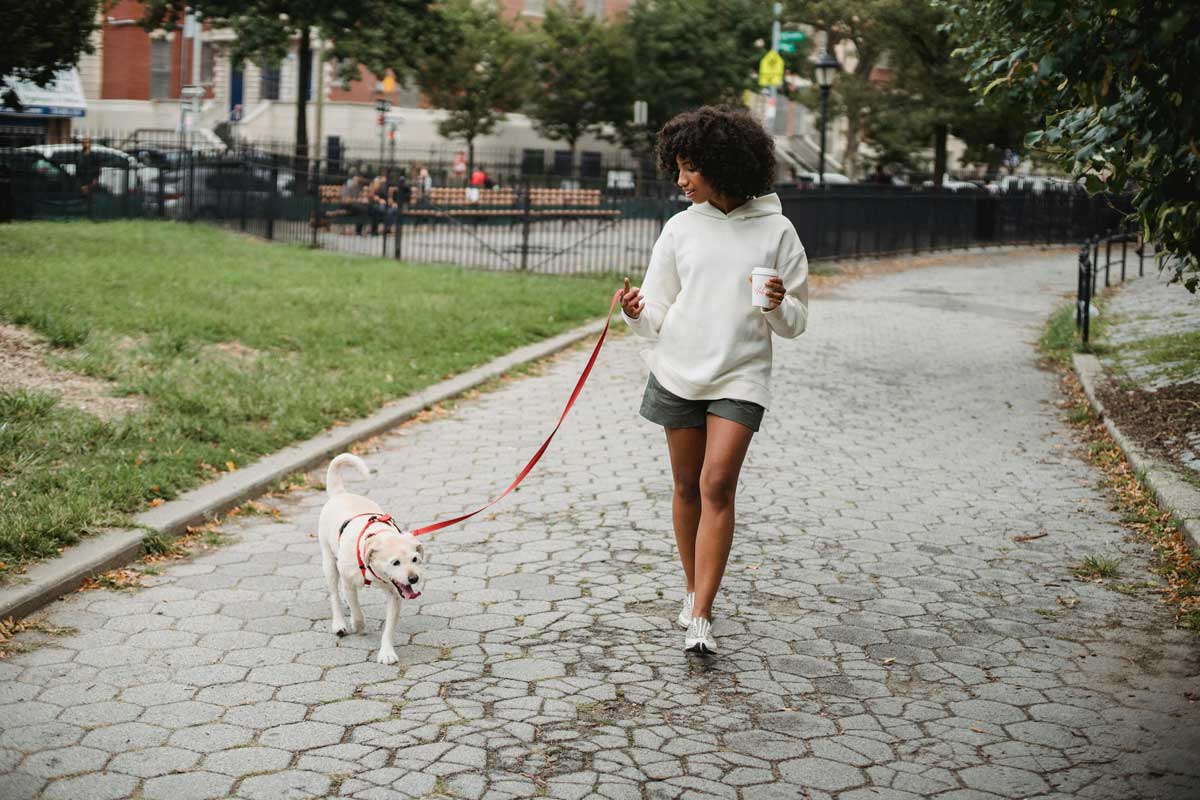 What Is a Walkability Score?